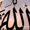 amina.nurgab