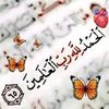 user5023021876008