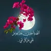 ns_ri313
