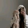 razane46374