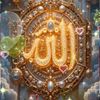 user72198854306306