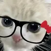 pennymichailidou