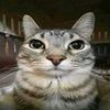 adriel_1106