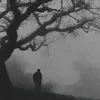 ali.moayed8