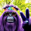 bigfoothippie