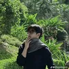 thanhvynez211