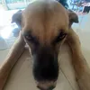 sohycutenhatthegioi