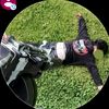 alex.moreno269