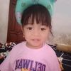 8055darno