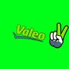 valeovanz