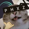 _.phxz._