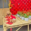 phuonghuynh3985