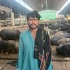 arshad.alighulam