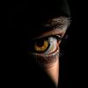 wali_write5