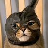 _lucu_6528_