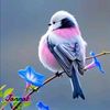 user1859081818505