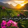 muhammadali_12304