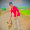 alihassanawan40