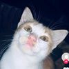 elin_7257