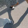 sofidora7