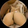 maylagwcm5t