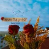 maream.sy98