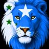 king.shipaa10