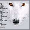 whitewolf675101