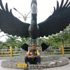 serigalakalimantantengah