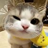 kim.huy165