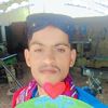 gull.bano233