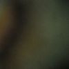 zxcvz.8