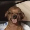 eschcn