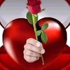user8123133326533