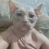 ggffuu2221