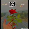 user13606113720284