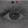 tasnim88340