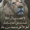 user4428502887481