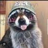 cookiemonster693