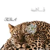 user932806187