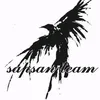sapsans.team