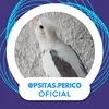psitas.perico