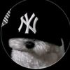 mickeyfigueroa6