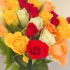 noor.sallal3