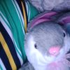 camila.271227
