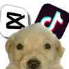 memeedit5