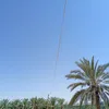 sbqahvxnjet