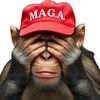 maga.monkeys