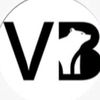 viralbear_journal