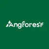 Yaang Forest